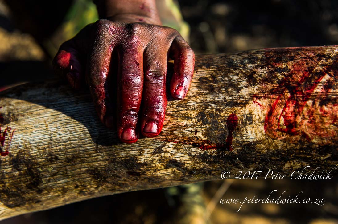 Africas Rangers_©PeterChadwick_AfricanConservationPhotographer