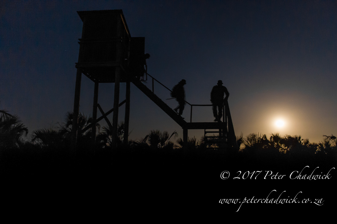 Africas Rangers_©PeterChadwick_AfricanConservationPhotographer