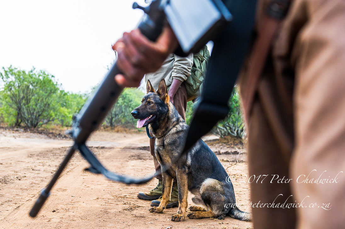 Africas Rangers_©PeterChadwick_AfricanConservationPhotographer
