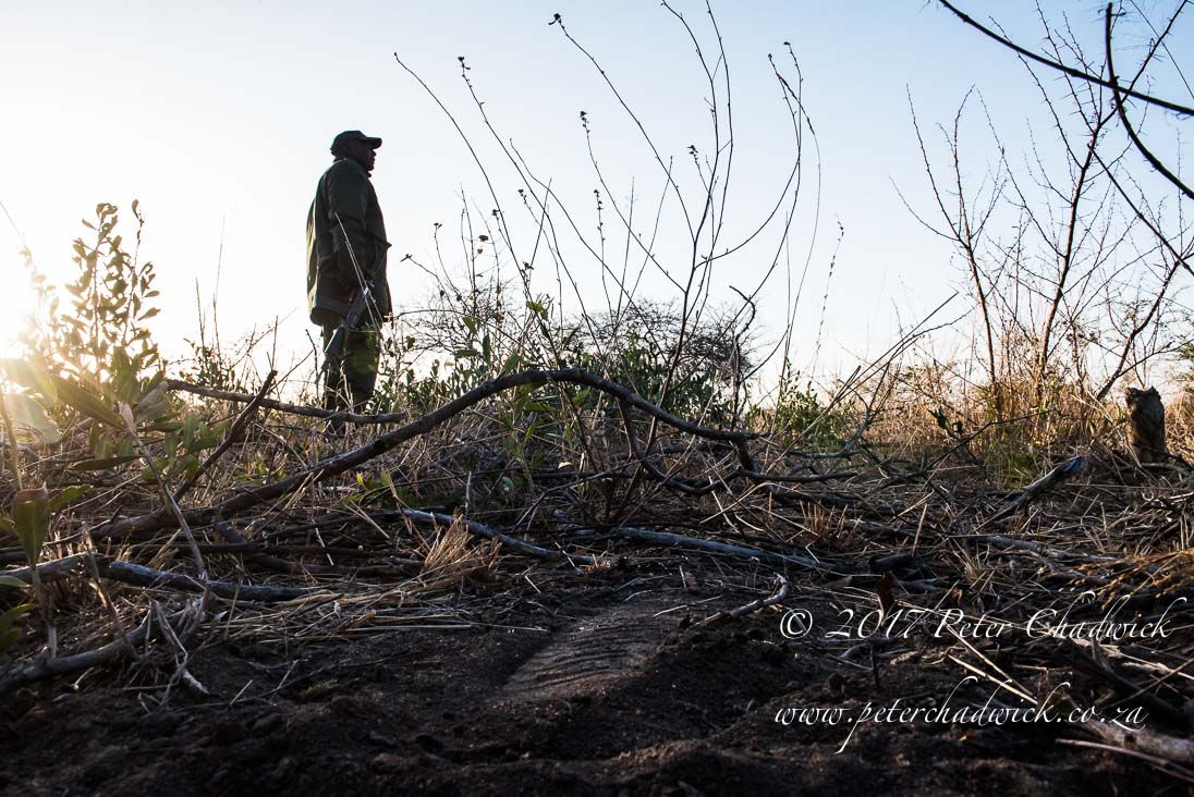 Africas Rangers_©PeterChadwick_AfricanConservationPhotographer