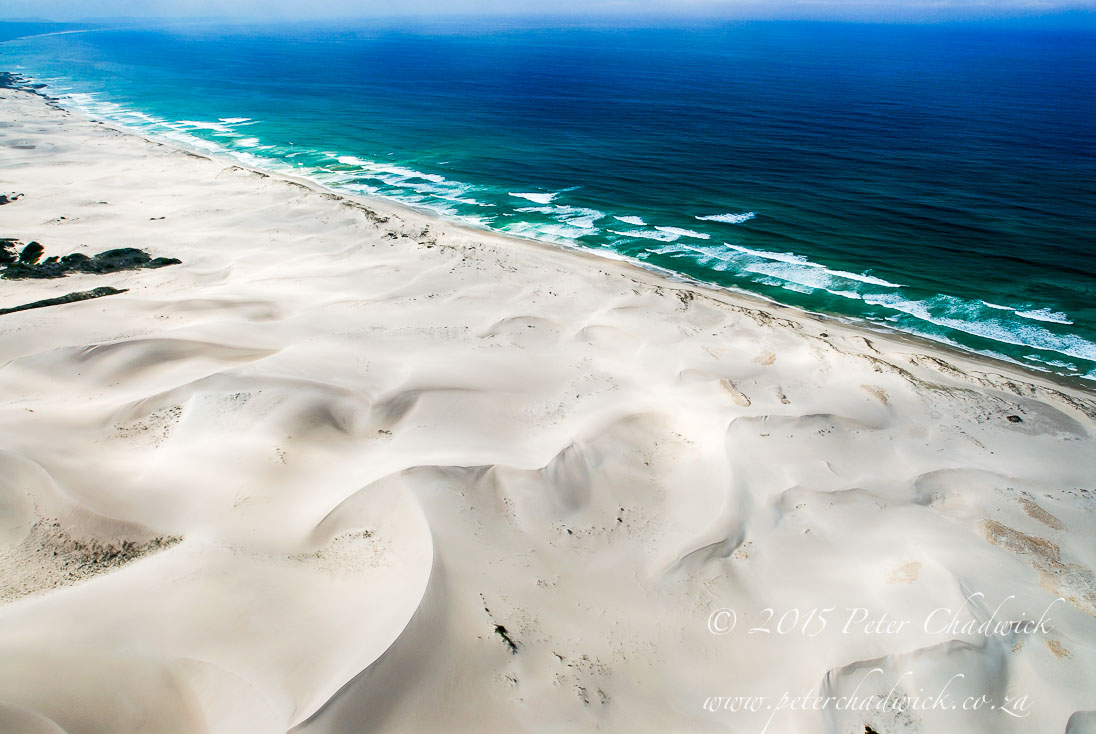 Coastal Dunefiel_&copy;PeterChadwick_AfricanConservationPhotographer