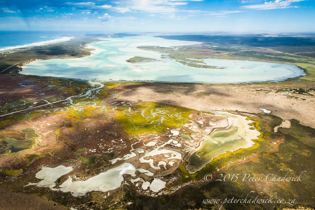 Langebaan Lagoon_&copy;PeterChadwick_AfricanConservationPhotographer
