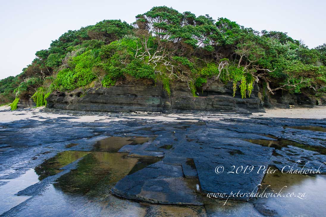 Dwesa Marine Protected Area_©PeterChadwick_AfricanConservationPhotographer 