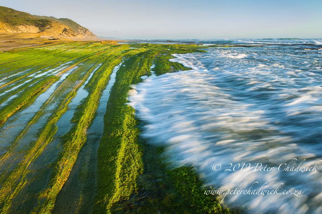 Goukamma Marine Protected Area_©PeterChadwick_AfricanConservationPhotographer 