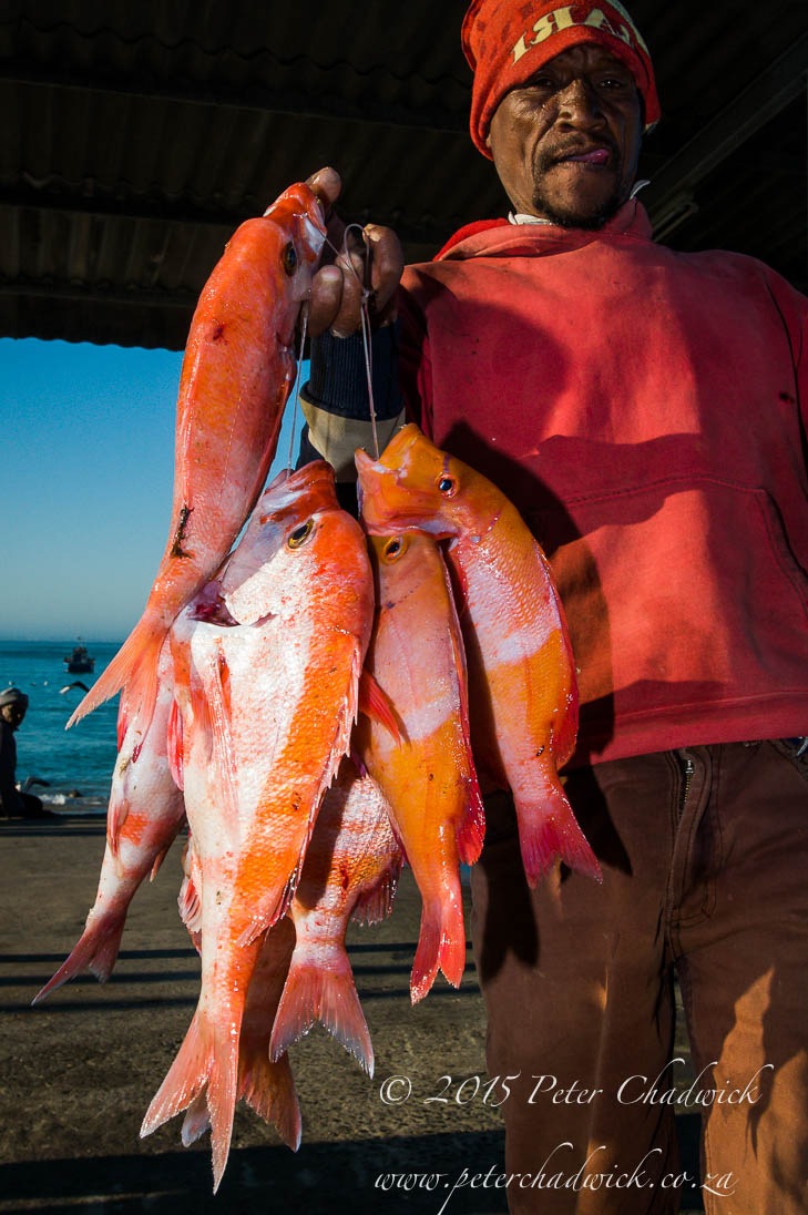 ©PeterChadwick_AfricanConservationPhotographer