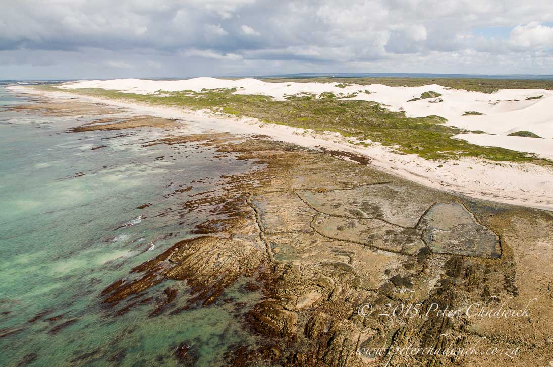 ©PeterChadwick_AfricanConservationPhotographer