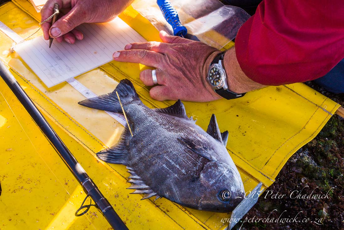 ©PeterChadwick_AfricanConservationPhotographer