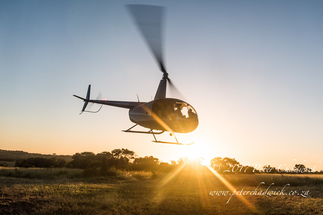 Rhino Conservation_©PeterChadwick AfricanConservationPhotographer