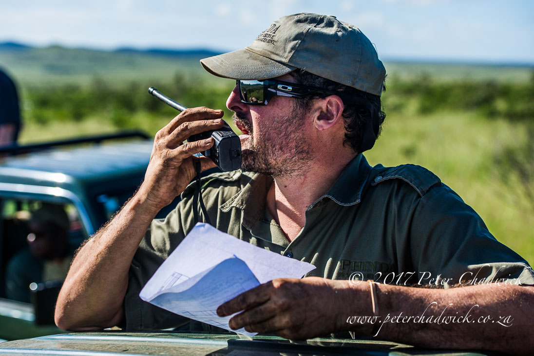 Rhino Conservation_©PeterChadwick_AfricanConservationPhotographer