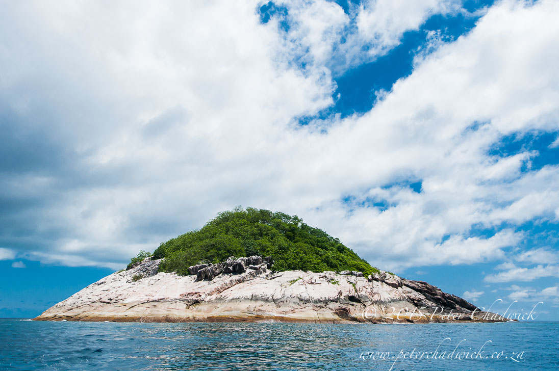 Booby Island_&copy;PeterChadwick_AfricanConservationPhotographer