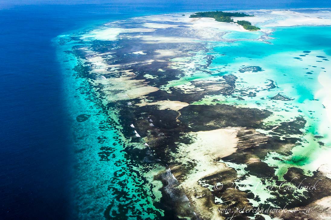 St Joseph's Atoll_&copy;PeterChadwick_AfricanConservationPhotographer