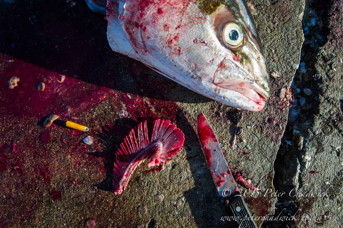 Small-Scale Fishers_©PeterChadwick_AfricanConservationPhotographer