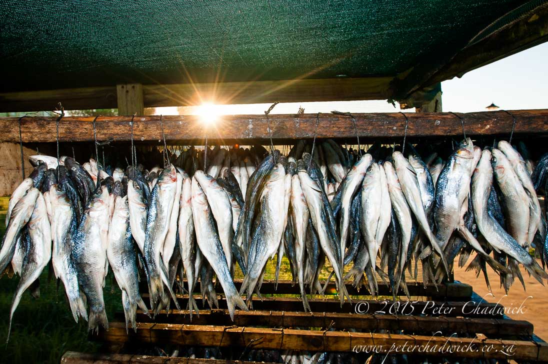 Small-Scale Fishers_©PeterChadwick_AfricanConservationPhotographer