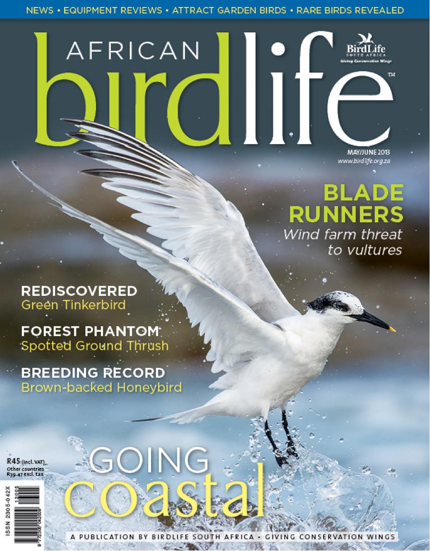 ©PeterChadwick_AfricanConservationPhotographer ©PeterChadwick_AfricanConservationPhotographer