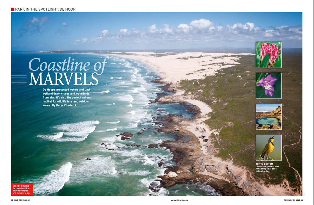 ©PeterChadwick_AfricanConservationPhotographer ©PeterChadwick_AfricanConservationPhotographer