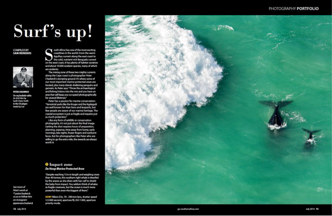 ©PeterChadwick_AfricanConservationPhotographer ©PeterChadwick_AfricanConservationPhotographer