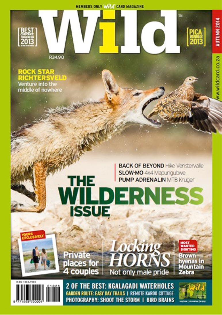 ©PeterChadwick_AfricanConservationPhotographer ©PeterChadwick_AfricanConservationPhotographer