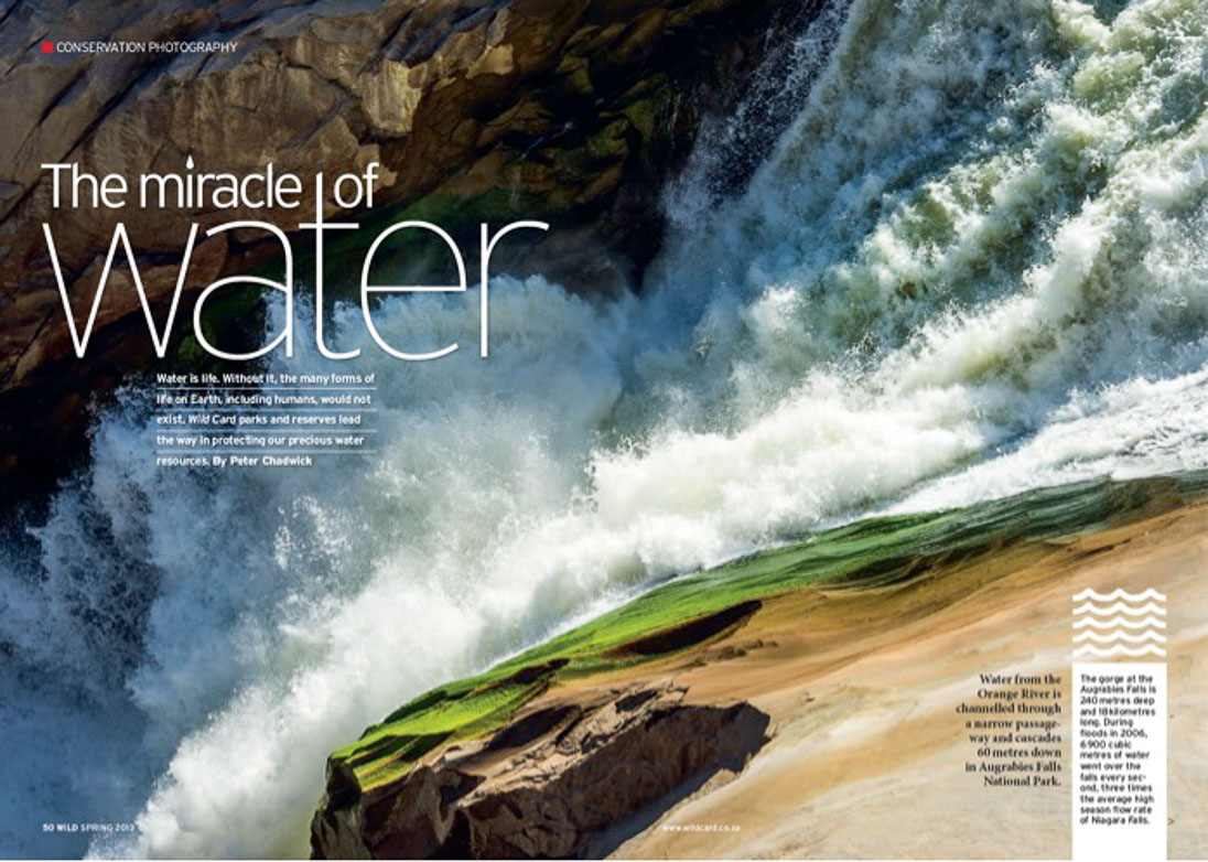 ©PeterChadwick_AfricanConservationPhotographer ©PeterChadwick_AfricanConservationPhotographer