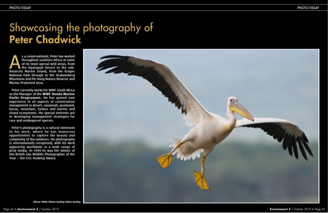©PeterChadwick_AfricanConservationPhotographer ©PeterChadwick_AfricanConservationPhotographer