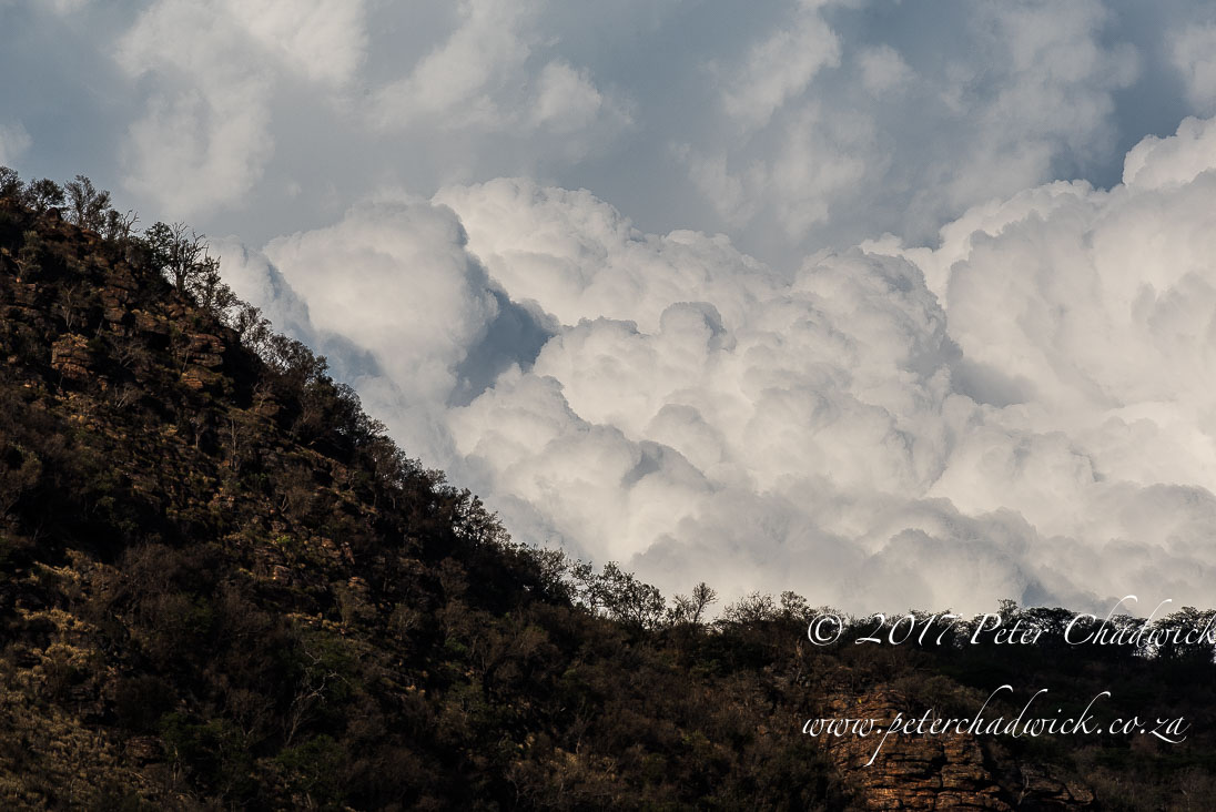 Beautiful Marataba Private Game Reserve by Conservation Photographer Peter Chadwick