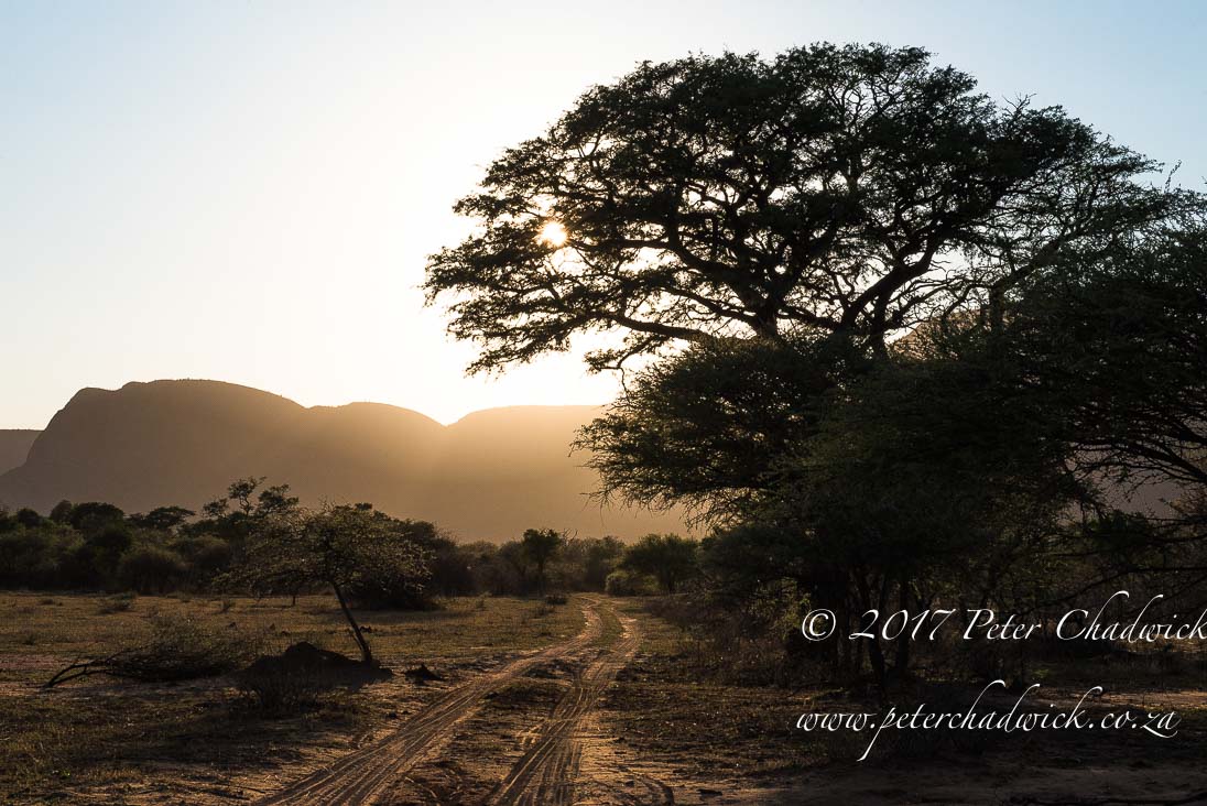 Beautiful Marataba Private Game Reserve by Conservation Photographer Peter Chadwick