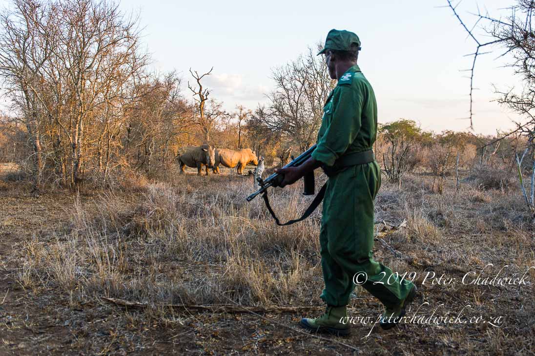 A Ranger's Role in Africa