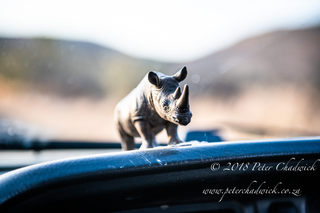 Humanity Supporting Rhino Conservation