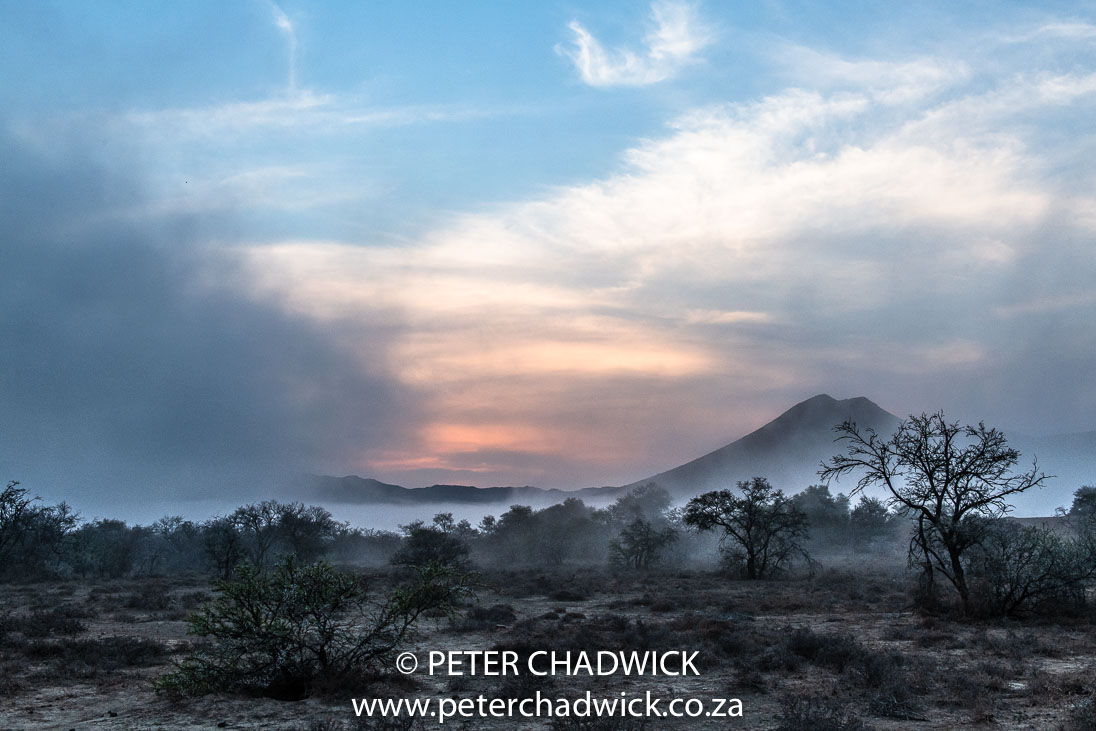 Mist over the Karoo_©PeterChadwick_AfricanConservationPhotographer 