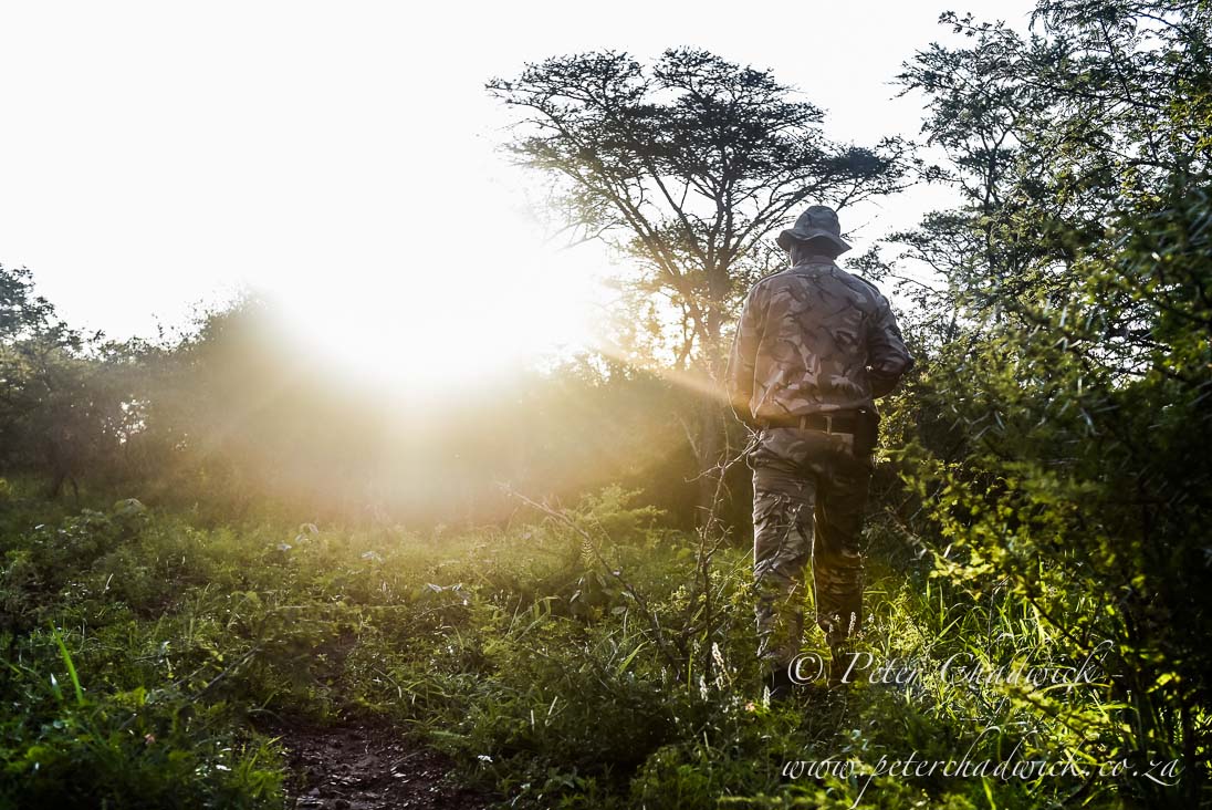 Ranger Patrol_©PeterChadwick_AfricanConservationPhotographer