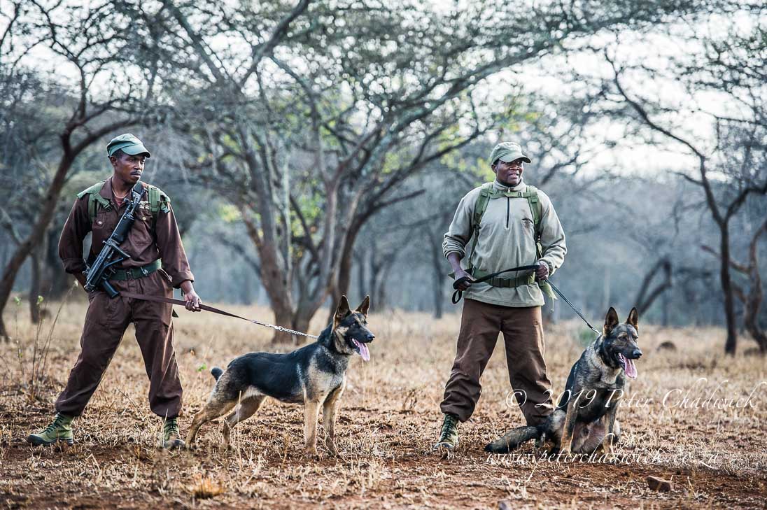 World Ranger Day 2019